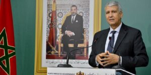 الأرجنتين .. جدل حول النوع الأول من القمح المعدل وراثيًا