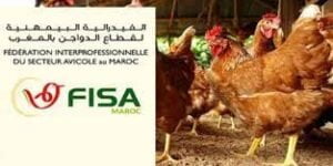 مدينة أرفود: الملتقى الدولي للتمور بالمغرب