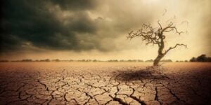 استعراض التجربة المغربية في النهوض بقطاع التمور خلال مؤتمر بأبوظبي
