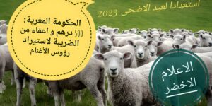 مكناس-دور التعاونيات في الانتقال نحو اقتصاد اخضر.