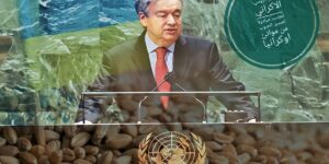 مجموعة المكتب الشريف للفوسفاط تستكمل الاستحواذ على 50 في المئة من رأسمال الشركة الإسبانية ” GLOBALFEED S.L “