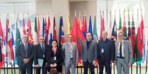الزريعة عند المغاربة… منافع لا تحصى لعبادالشمس يمنع ظهور التجاعيد