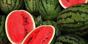 نيازك تمطر السماء ابتداء من اليوم الجمعة و هذا هو السبب