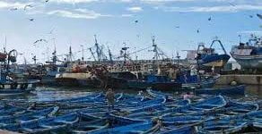 القنيطرة-حريق مهول عرفته محمية سيدي بوغابة بالامس وتدخل ناجح بواسطة طائرة الكنادير.