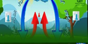 شوكولاتة مرجان الجزائرية: تحديات دخول السوق الفرنسية