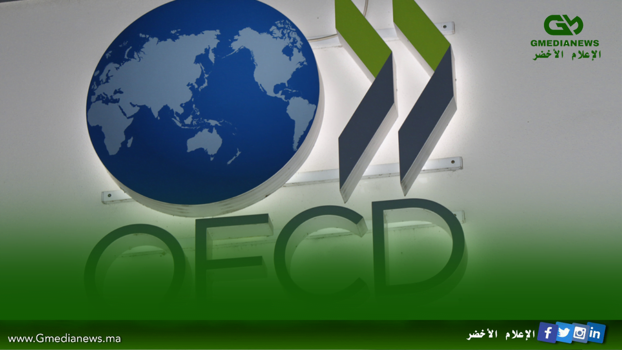 منظمة التعاون والتنمية الاقتصادية تحث المغرب على تعزيز مكافحة الفساد لتعزيز النمو الاقتصادي