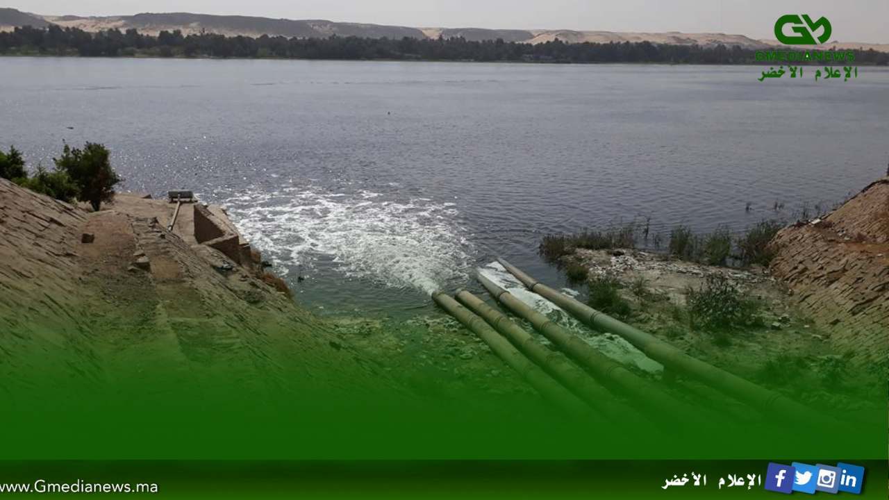 حياة النيل: أسوان تواجه تحديات التلوث والأمراض-الإعلام الأخضر-