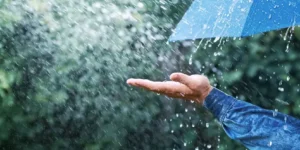 نقل  الاشخاص عبر التطبيقات الذكية وسؤال المصير لحاملي رخصة التقة لسيارات الاجرة