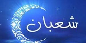 تحقيق ميداني حول أسعار أعلاف الدواجن بالمغرب