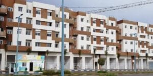 تفكيك شبكة لتهريب المخدرات بالناظور وحجز 375 كلغ من الشيرا