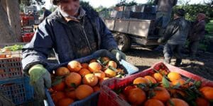 إطلاق أول خط جوي مباشر بين أتلانتا ومراكش لتعزيز الربط الجوي بين المغرب وأمريكا