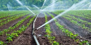 وزارة النقل المغربية تُلزم شركات التطبيقات الذكية بالحصول على تراخيص رسمية