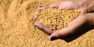 المديرية العامة للأمن الوطني تُعلن عن تعيينات جديدة لتعزيز كفاءة مصالحها الأمنية