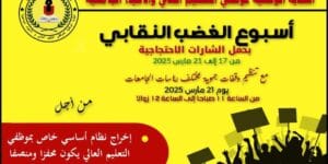 وزير التعليم المغربي يعفي 16 مديرًا إقليميًا في خطوة مثيرة للجدل