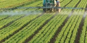 التنمية المستدامة والبيئة والموارد الطبيعية: أساس الحياة للإنسان والكائنات الحية