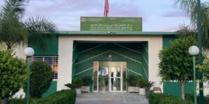 العثور على بقايا بشرية بسيتي بلاطو بالدار البيضاء يستنفر الأمن ويثير الرعب بين السكان