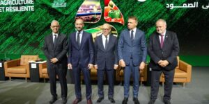 توقعات بارتفاع إنتاج الحبوب بنسبة 41% خلال الموسم الفلاحي 2024-2025