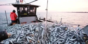عبد الحق المريني.. رحيل رجل الدولة الذي وثّق ذاكرة المغرب وواجه النسيان بالقلم