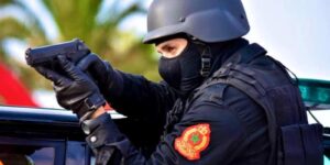 ارتفاع غير مسبوق لواردات المغرب من الأغنام الأوروبية مطلع 2025 وسط تراجع في الطلب الموجه للذبح