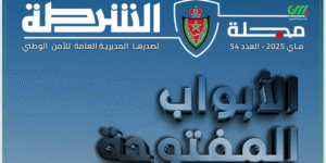 اجتماع عربي طارئ بالقاهرة لبحث مواجهة خطة احتلال غزة